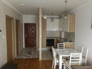 Апартаменты Euro Apartment Никшич Апартаменты с 1 спальней-21