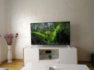 Апартаменты Euro Apartment Никшич Апартаменты с 1 спальней-3